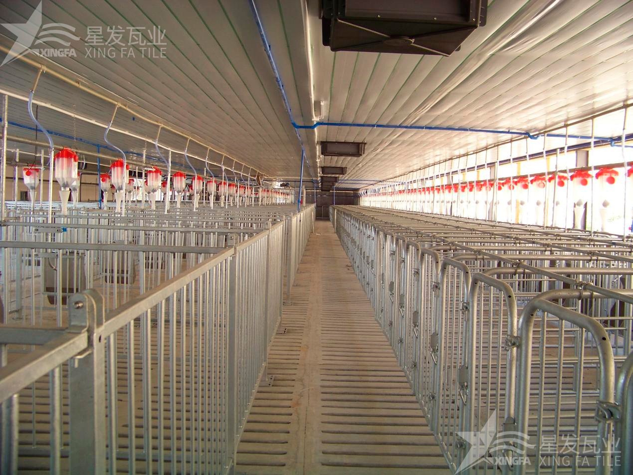 炎炎夏日即將來(lái)臨，為什么養(yǎng)殖場(chǎng)越來(lái)越多地選擇PVC瓦？