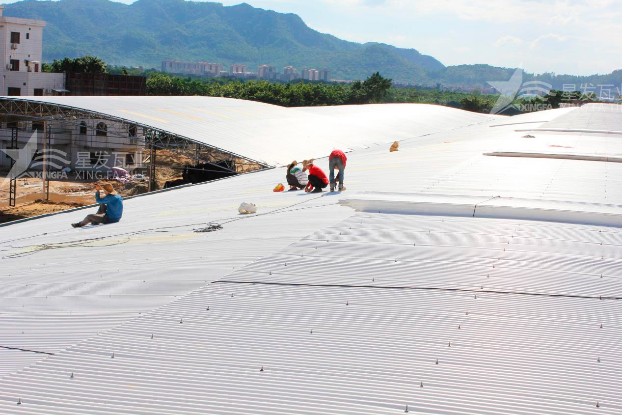 樹脂瓦漏水？不要慌，這些方法能夠快速解決問題！