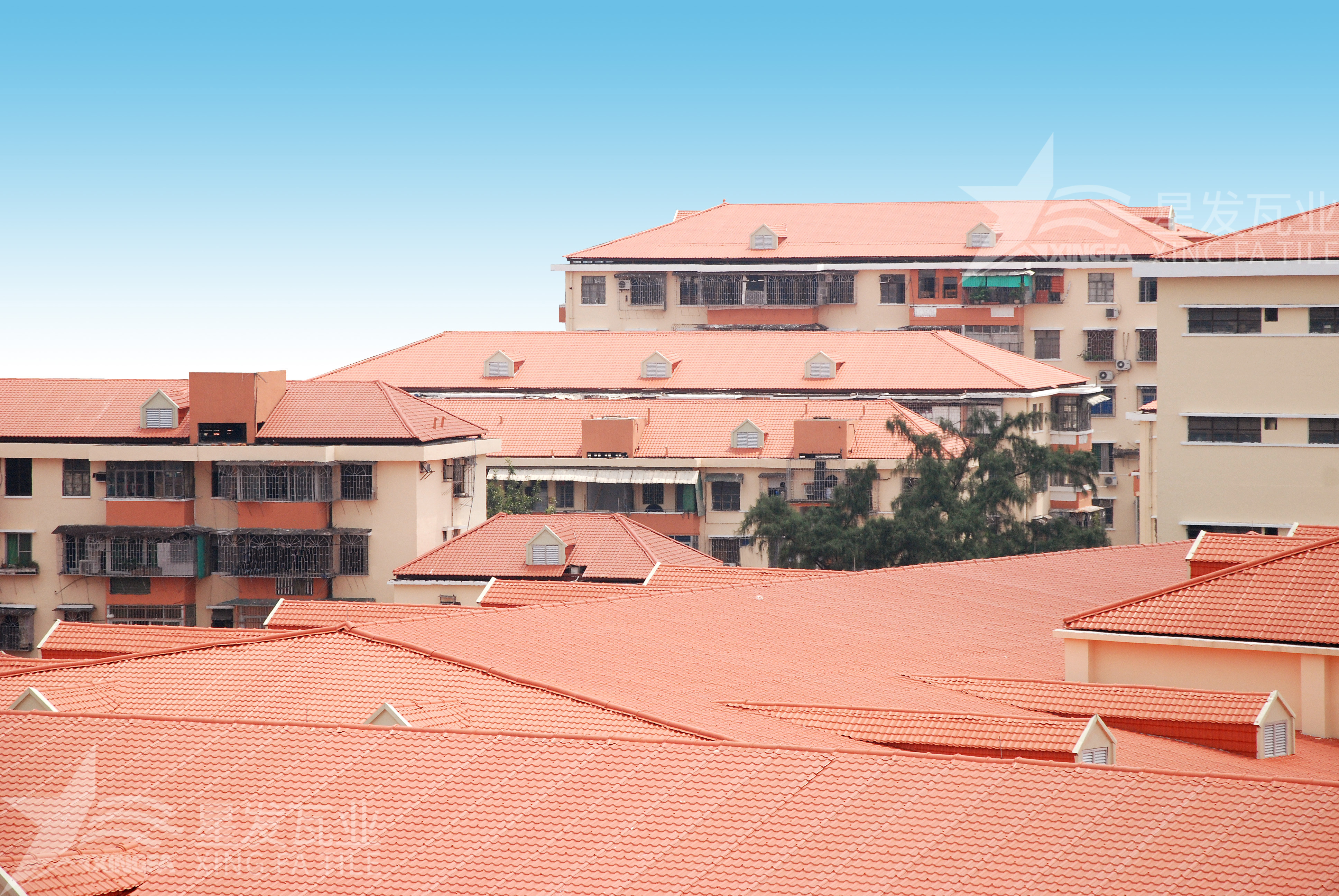 揭秘！居然還有人不知道合成樹(shù)脂瓦多少錢(qián)一方